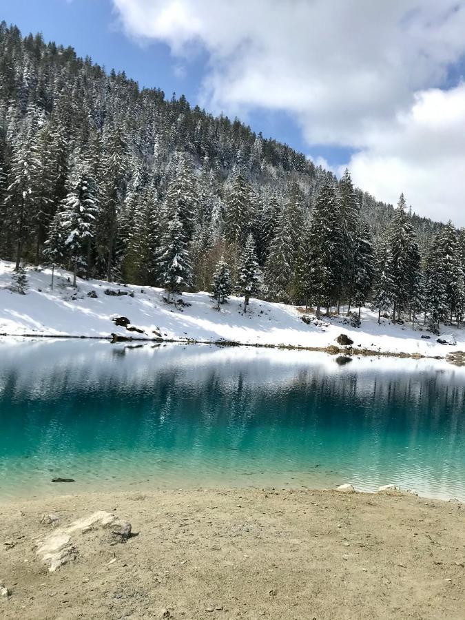 Stenna Selva Direkt Bei Bergbahnen Skipiste *