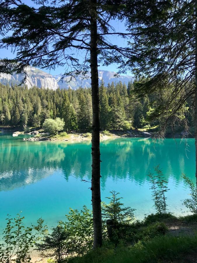 Apartamento Stenna Selva Direkt Bei Bergbahnen Skipiste *